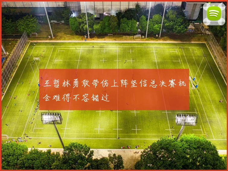 王哲林勇敢带伤上阵坚信总决赛机会难得不容错过