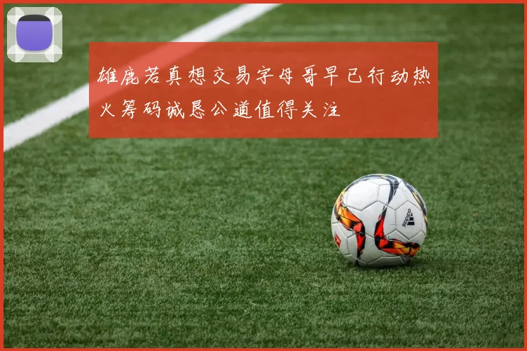雄鹿若真想交易字母哥早已行动热火筹码诚恳公道值得关注