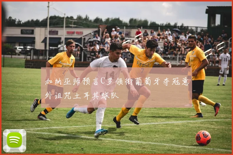 加纳巫师预言C罗领衔葡萄牙夺冠意外诅咒土耳其球队